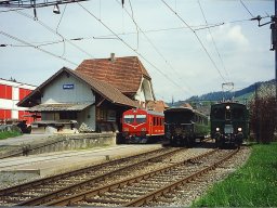 Wasen i.E.4